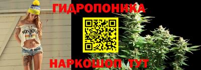 хмурый Пугачёв