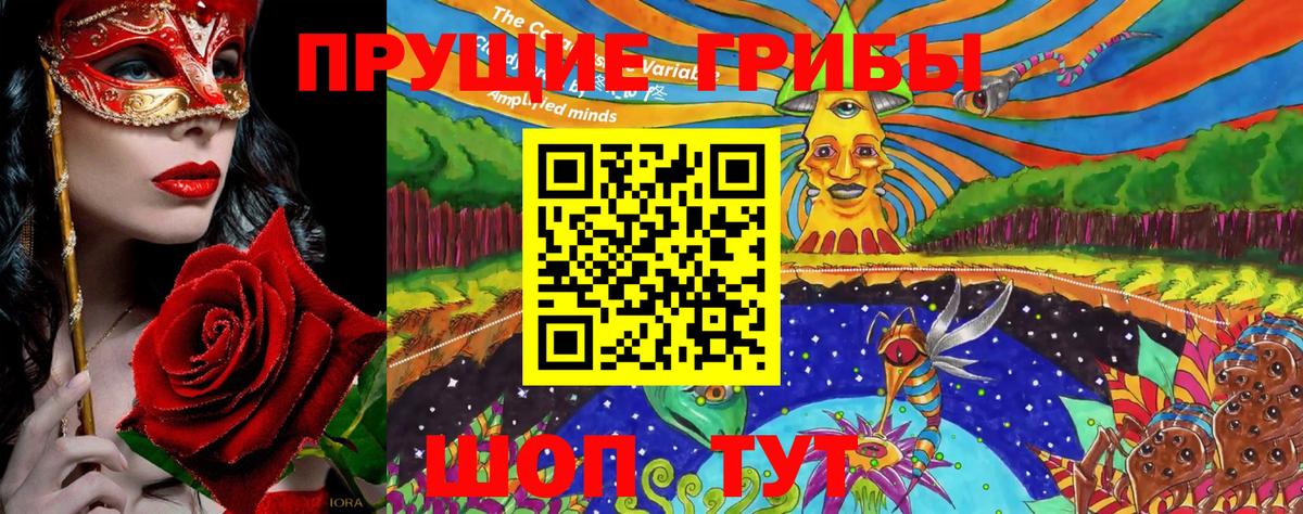 Галлюциногенные грибы GOLDEN TEACHER Петропавловск-Камчатский