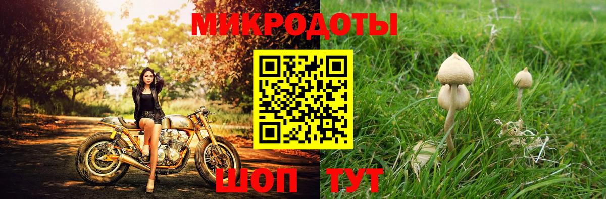 цены наркотик  Галлюциногенные грибы мицелий  Петропавловск-Камчатский  Вход с VPN  Псилоцибиновые грибы прущие грибы 
