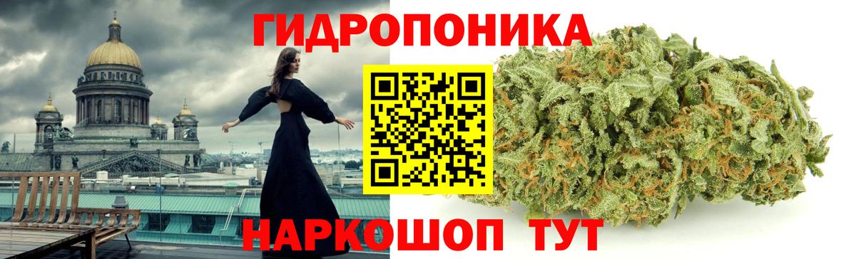 Петропавловск-Камчатский  Марихуана Amnesia  Вход с VPN  Бошки Шишки марихуана 